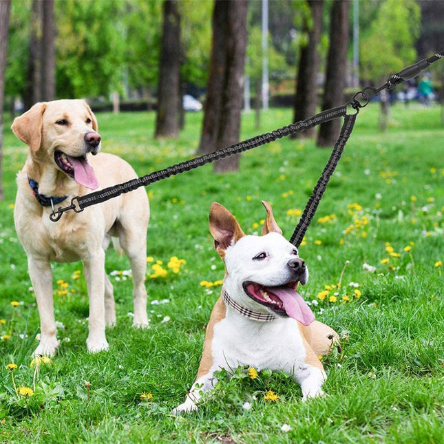 Black Pet Double-Ended Rope Plus 1.5M Leash – product detail