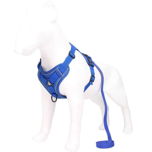 Blue Reflective Mesh Dog Harness and Leash Set