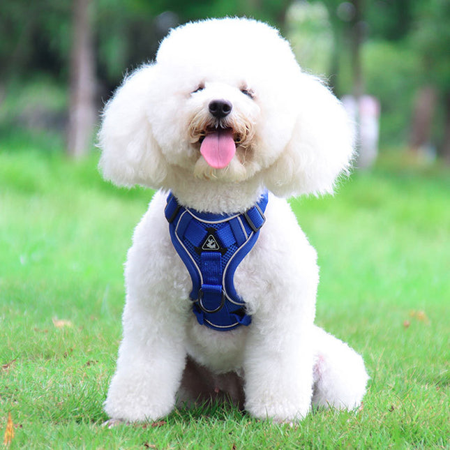 Blue Reflective Mesh Dog Harness and Leash Set – product detail