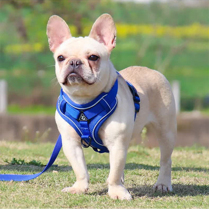 Blue Reflective Mesh Dog Harness and Leash Set - Adjustable No-Pull Vest - XL