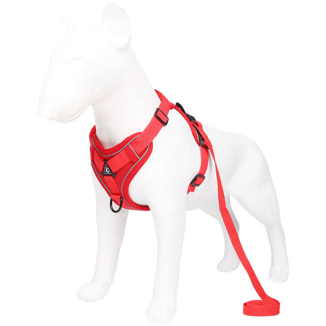 Red Reflective Mesh Dog Harness and Leash Set