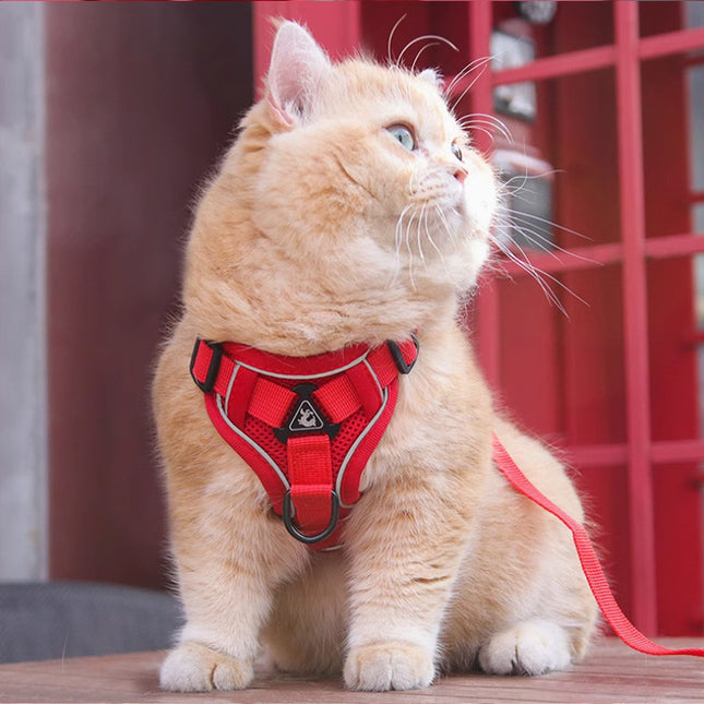 Red Reflective Mesh Dog Harness and Leash Set – product detail