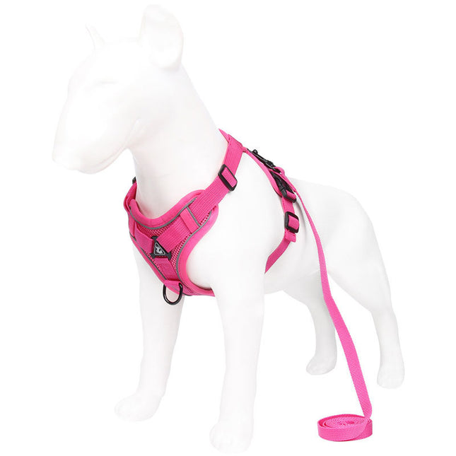 Rose Red Reflective Mesh Dog Harness and Leash Set – product detail