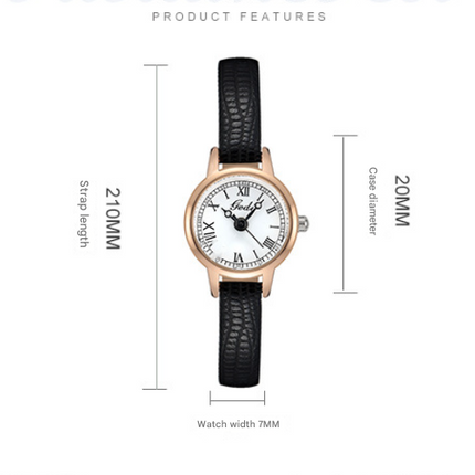 Coffee shell coffee tray coffee belt Delicate Women's Watch - 20mm Roman Numeral Dial, Leather Strap