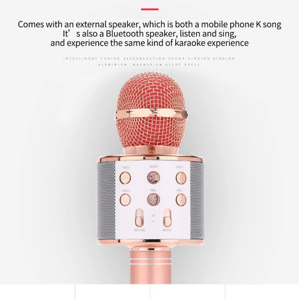 Black Bluetooth 5.0 Karaoke Microphone for Family Entertainment
