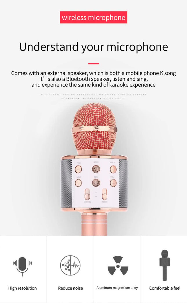 Black Bluetooth 5.0 Karaoke Microphone for Family Entertainment – product detail