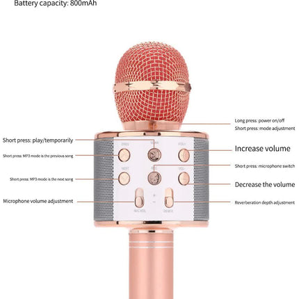 Black Bluetooth 5.0 Karaoke Microphone for Family Entertainment