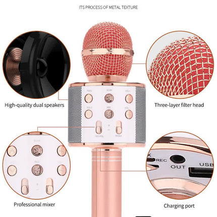 Black Bluetooth 5.0 Karaoke Microphone for Family Entertainment