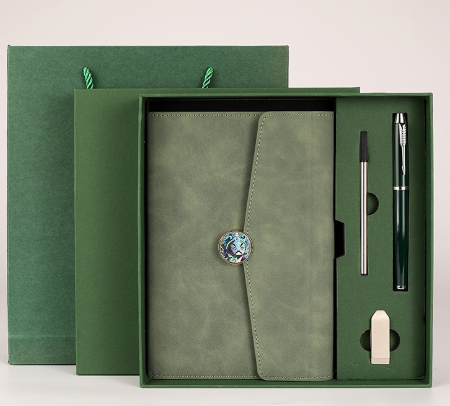 Green Premium A5 Three-Fold Notebook Gift Set with 16GB USB and Pen V888-ELOSUNG28574