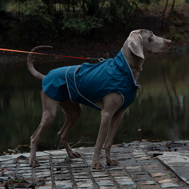 55 Blue Waterproof Reflective Dog Raincoat for Small to Large Dogs V888-ELOSUNG28746