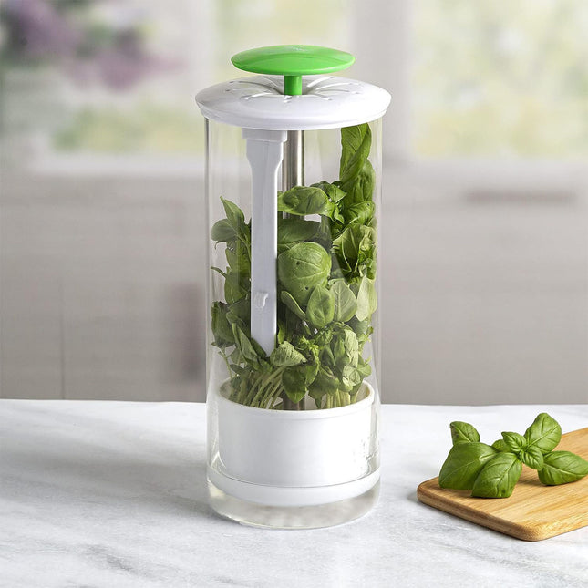 Green Premium Herb Savor & Freshness Keeper