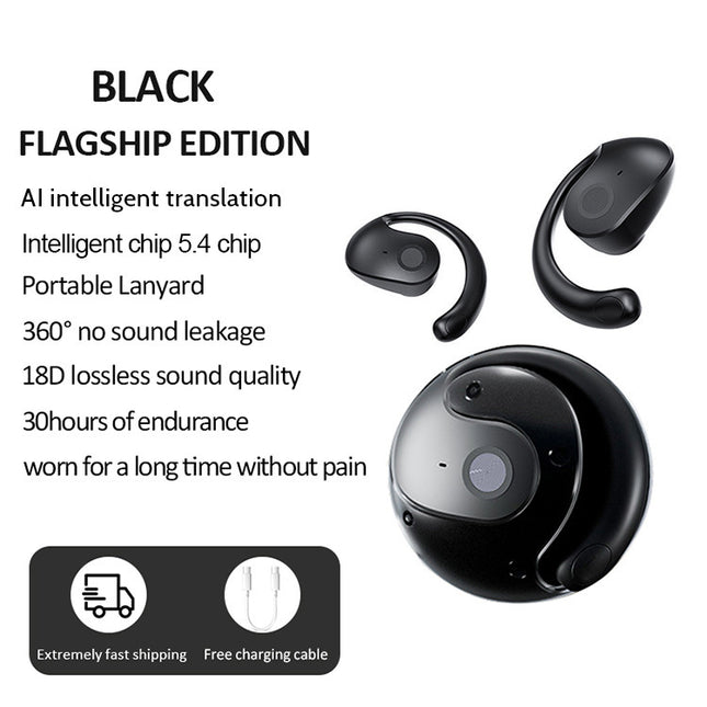 Black T2 AI Smart Translation Earbuds