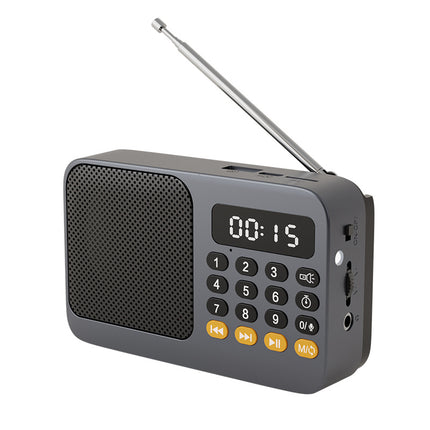 Portable Digital Music Player & FM Radio,4 Playback Modes, LED Flashlight(Gray)