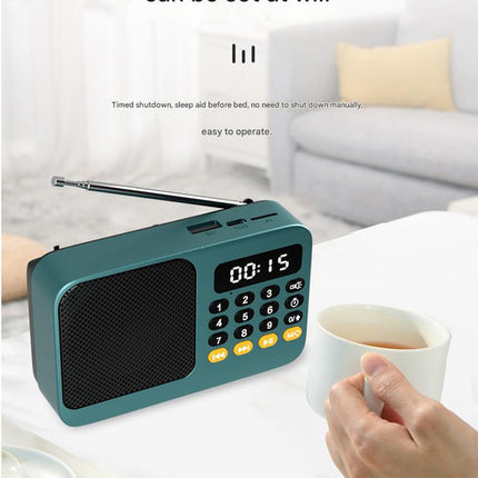 Portable Digital Music Player & FM Radio,4 Playback Modes, LED Flashlight(Gray)