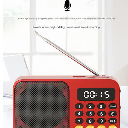 Portable Digital Music Player & FM Radio,4 Playback Modes, LED Flashlight(Gray)