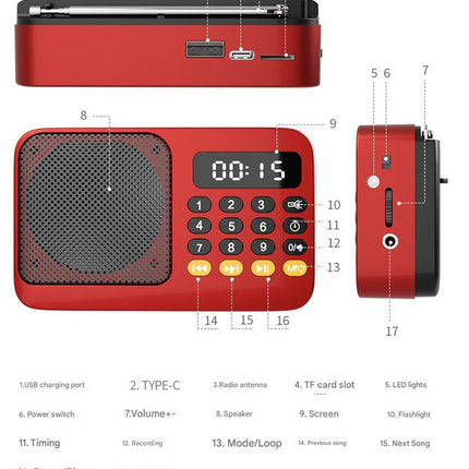 Portable Digital Music Player & FM Radio,4 Playback Modes, LED Flashlight(Gray)