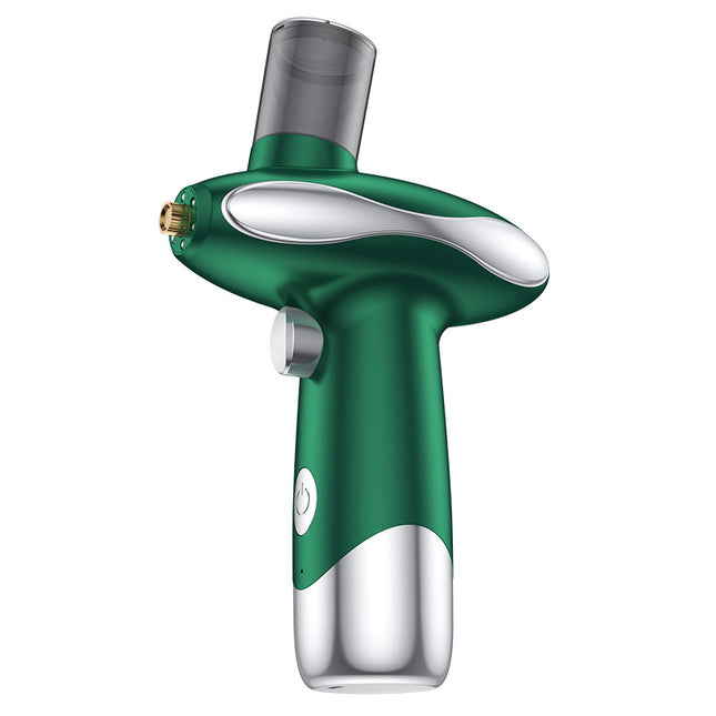 Portable Nano Facial Steamer & Oxygen Sprayer with Red/Blue Light Therapy(green) V888-ELOSUNG29208