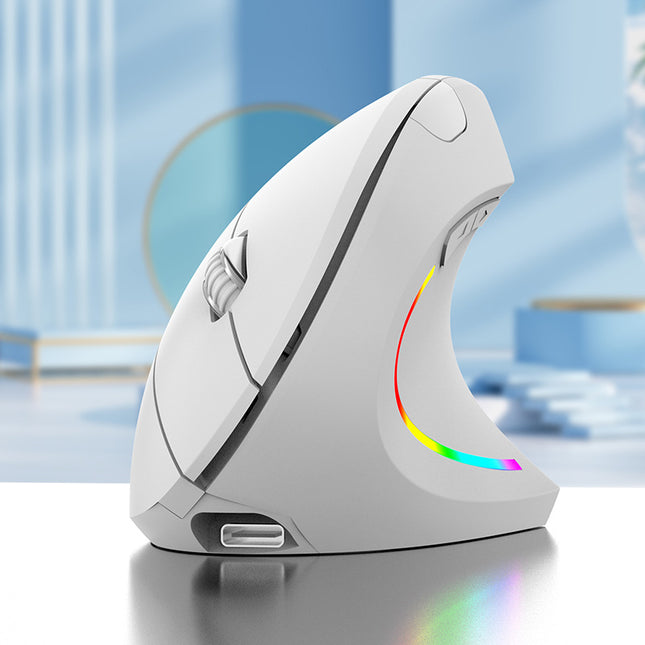 Ergonomic Vertical Wireless Mouse