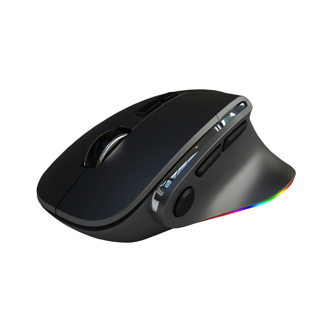 Ergonomic Vertical Wireless Mouse