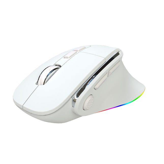 Ergonomic Vertical Wireless Mouse