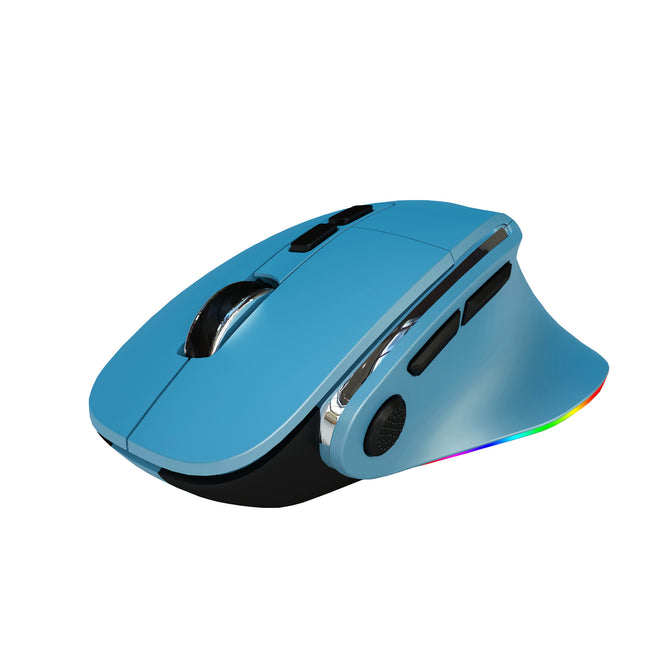 Ergonomic Vertical Wireless Mouse