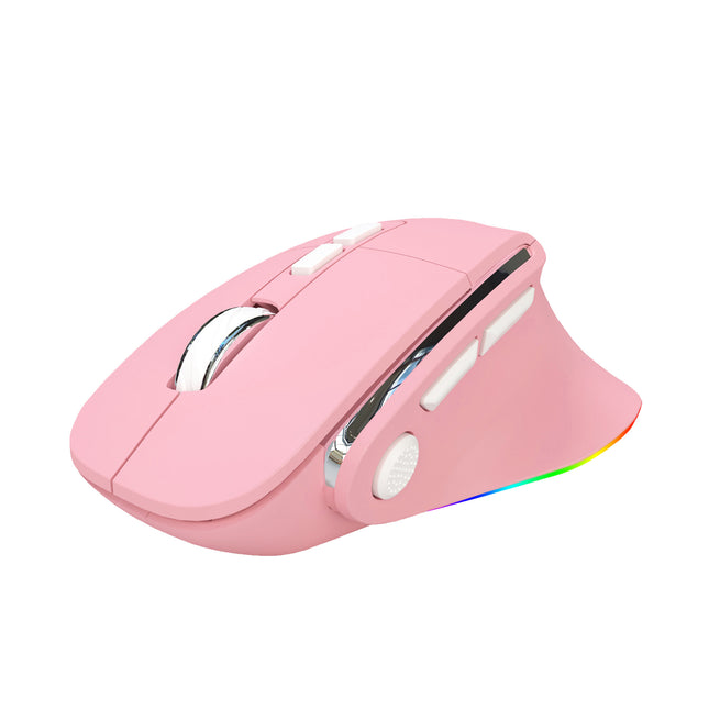 Ergonomic Vertical Wireless Mouse