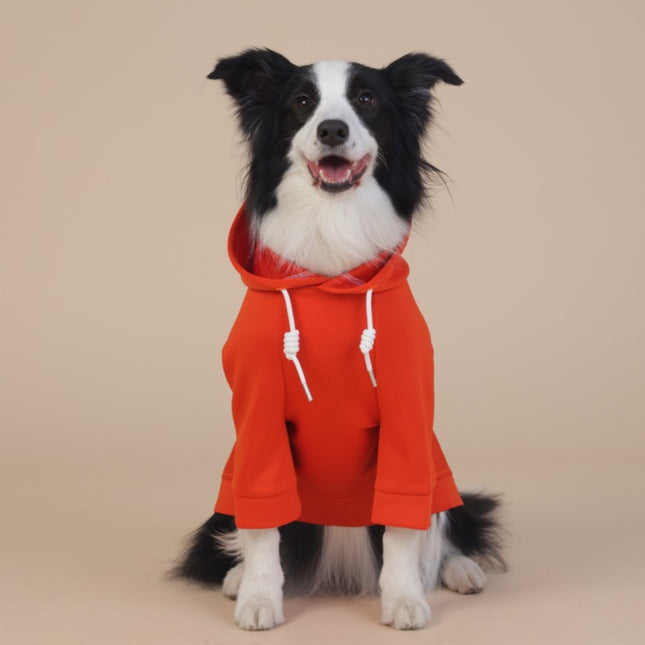Orange Classic Dog Sweatshirt with Hood & Drawstrings – product detail