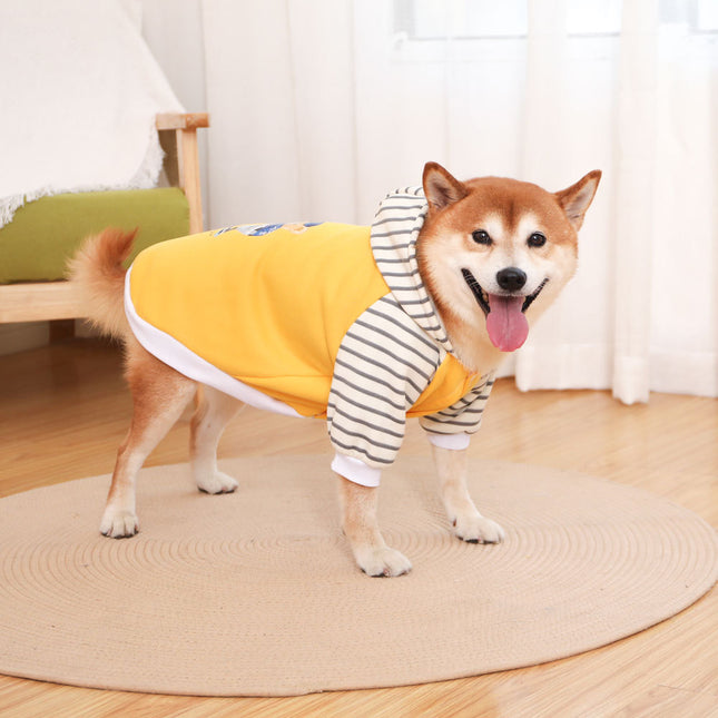Autumn/Winter Dog Clothes