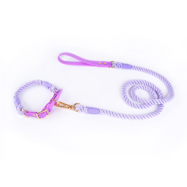 Premium Leather Pet Collar and Leash