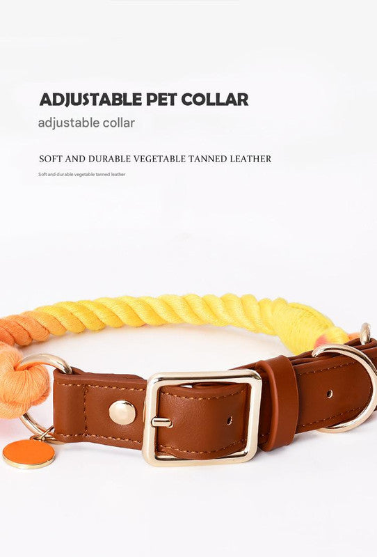 Premium Leather Pet Collar and Leash – product detail