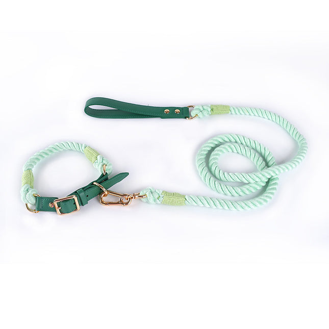 Premium Leather Pet Collar and Leash
