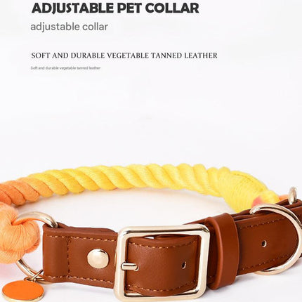 Premium Leather Pet Collar and Leash - Soft, Strong Braided Rope (Iridescent Red - Size S)