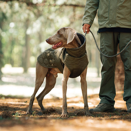 Size L Olive Green Warm Quilted Dog Winter Coat - Adjustable Fleece-Lined Puffer Vest with Reflective Trim & Leash Port