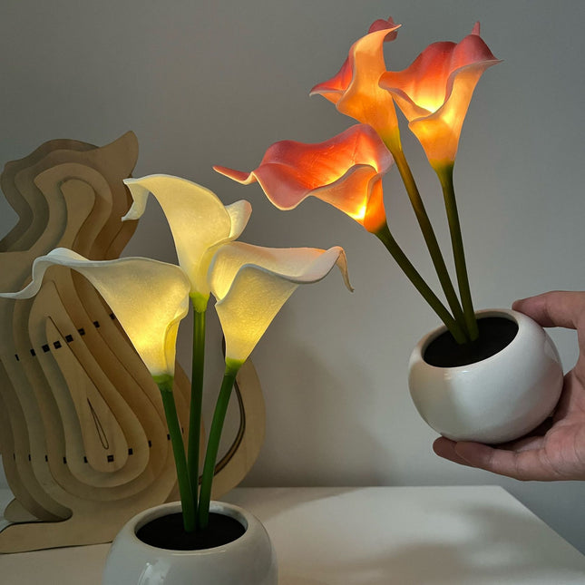 Pink Elegant Calla Lily LED Table Lamp