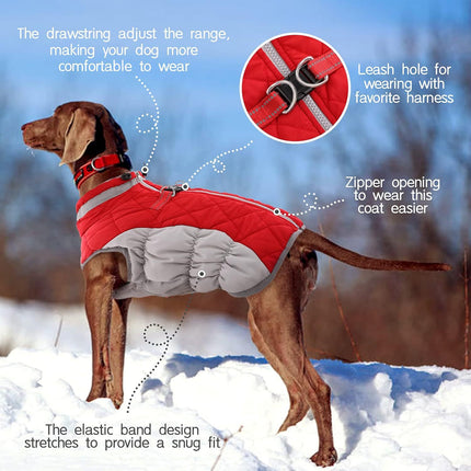 S Red Grey Premium Winter Puffer Dog Coat - Windproof & Fleece-Lined Jacket for Cold Weather