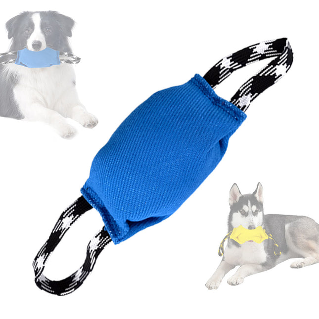 Blue Durable Dog Tug Toy with 2 Handles