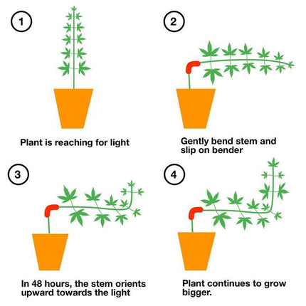 60PCS Red 90-Degree Plant Bender Clips for Low-Stress Training (LST) - Reusable Stem & Branch Trainer for Increased Yields