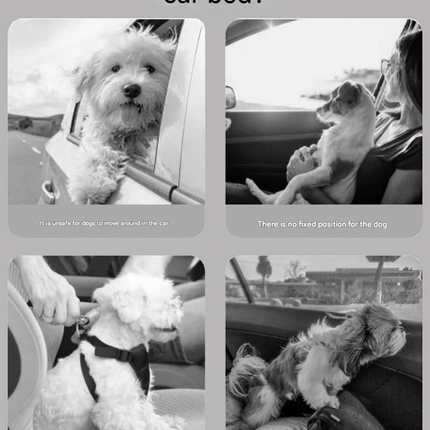 Turquoise Plush Dog Car Booster Seat - 2-in-1 Travel Bed for Small Dogs with Washable Cover