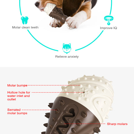 Multifunctional Dog Toy with Cooling, Dental Care & Floating Features(orange)