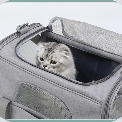 Foldable Soft-Sided Pet Carrier for Travel - Fits Cats & Small Dogs Under 6kg, with Removable Plush Bed & Shoulder Strap(grey)