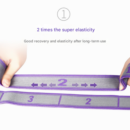 Blue and Purple 9-Loop Yoga Stretch Strap - Numbered Band for Flexibility and Physical Therapy