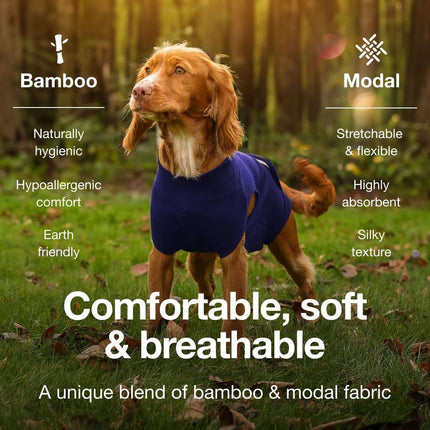 XS Blue Premium Pet Physiological Suit - Comfortable & Breathable Bamboo Modal Recovery Suit
