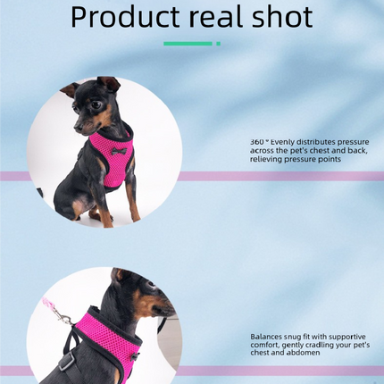 2-Pcs Green Adjustable Pet Harness with Leash – Breathable Mesh Design for Small Dogs, Cats, Chickens, Ducks & More | Anti-Escape, 360° Support, Lightweight & Comfortable in Australia(Size:L)