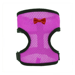 Collection image for: Cat Collars Leads & Harnesses