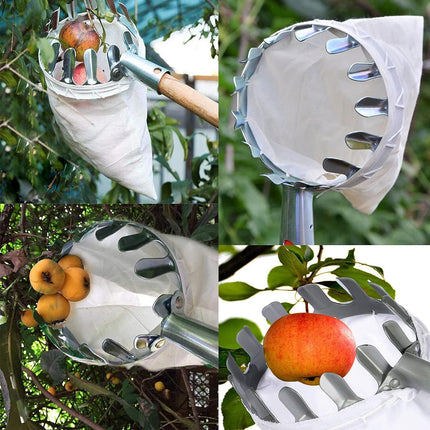 Green Telescopic Fruit Picker Tool with Stainless Steel Extension Pole Carbon Steel Head and Large Bag for Apples Peaches Oranges Australian Home Orchards(1.6m)