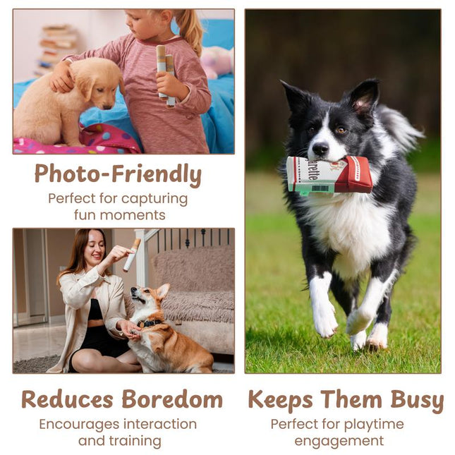 2-Pack Funny Cigarette Box Squeaky Dog Toy – product detail