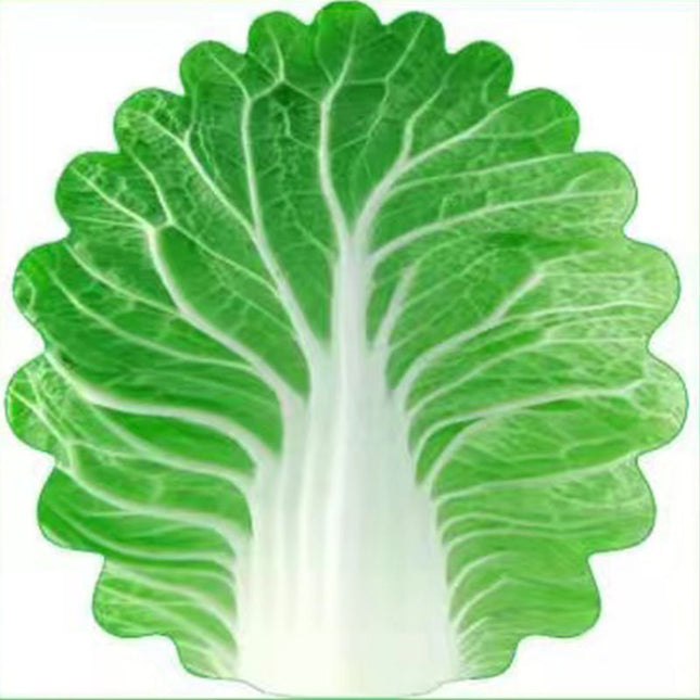 Cute Cabbage-Shaped Fleece Blanket Fun and Cozy Throw for Naps Office Use Air Conditioning or Baby