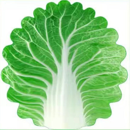 Cute Cabbage-Shaped Fleece Blanket – Fun and Cozy Throw for Naps, Office Use, Air Conditioning, or Baby Swaddling (Green & White)(180cm*180cm)