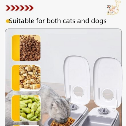 Pink Silent Automatic Pet Single Meal Dispenser with Rotary Buckle - Longest 48H Scheduled and Long Battery Life, Detachable for Easy Cleaning