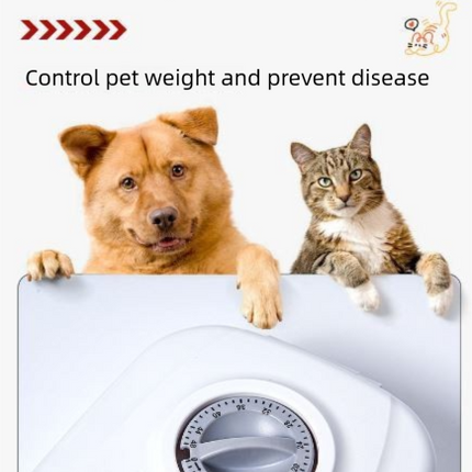 Pink Silent Automatic Pet Double Meal Dispenser with Rotary Buckle - Longest 48H Scheduled and Long Battery Life, Detachable for Easy Cleaning
